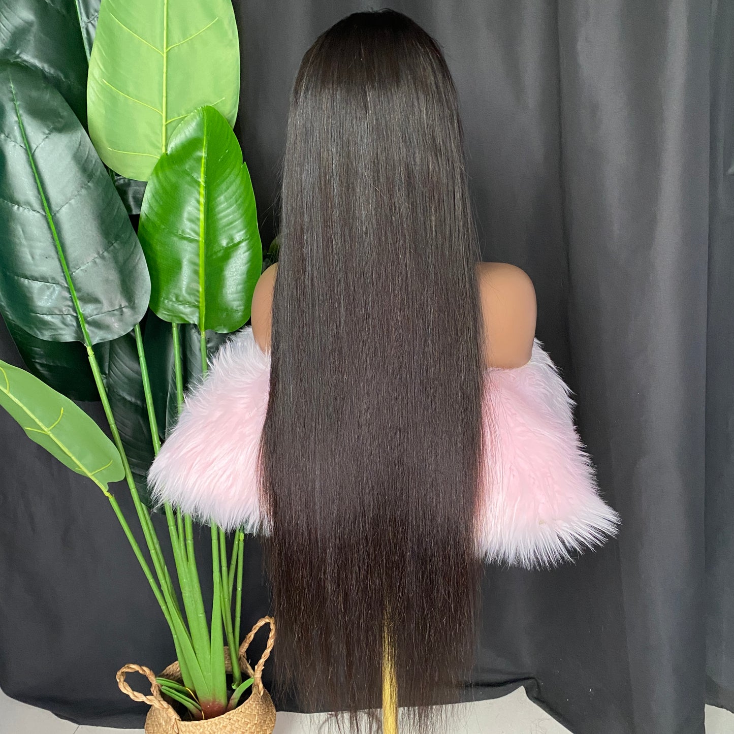 Natural Black Silky Straight 13x4 Transparent Lace Frontal Wig 100% Raw Human Hair