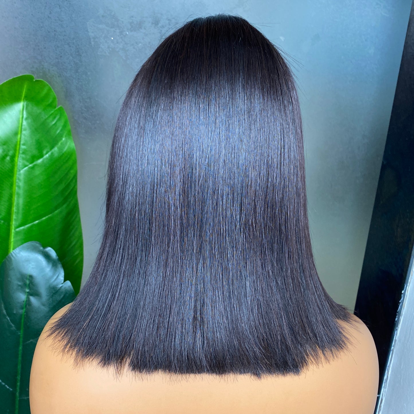 Thick Hair Vietnamese Silky Straight 2x6 Transaprent Lace Closure Wig 12 Inch